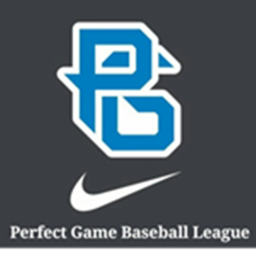 Perfect Game Arena