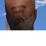 #### ########### ####### Patrol
