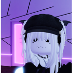 FOR THE ROBLOX (only friends)