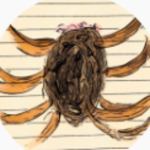 Spiderkeo