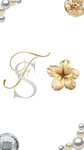 ~Sifola’s salon~