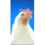 Pigeon peep legends (PPL)