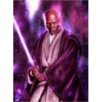 Windu Bloodline