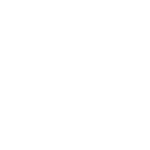 WOLFS INC