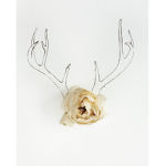 Antler People