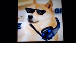 doge gamers!!!!!!!