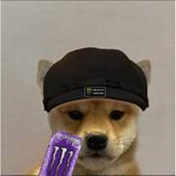 Doge fighting area [🔥UPDATE]