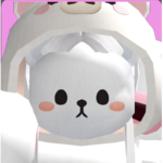 Cats bears and more