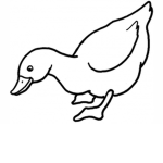 Ducki Boi