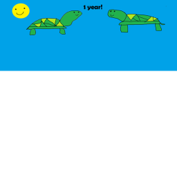 (PUBLIC) Turtle a year anniversary!