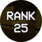 Level 25