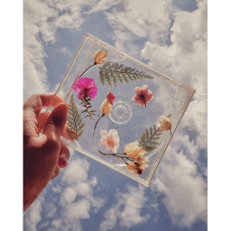 aesthetic vibes