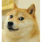 Doge and human group