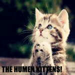 The Human Kittens