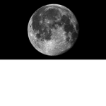 luna pady