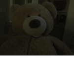 Boo the bear