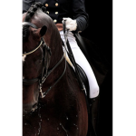 Sunset Stables Group