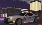 The Cosmetics