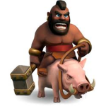 The Hog Rider Bunch