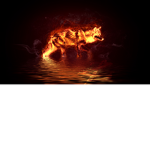 crazy_flames