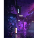 Midnight darks