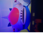 StarFloppa
