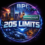 BIRMINGHAM POLICE DEPARTMENT 205