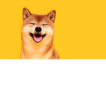 Epic's Doge Family
