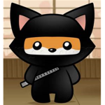 Ninja Foxes