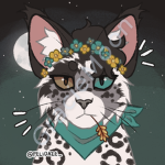 GracieMoon