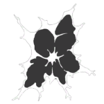 Evanore