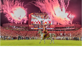 Doak Cambell Stadium (FSU Football)