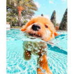 CoolFizzy