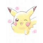 Pikachu Park!