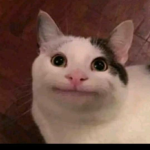 TalkAboutPog