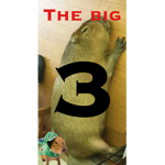 The blg 3