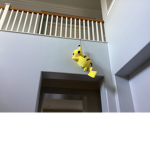 Pokémon group pog