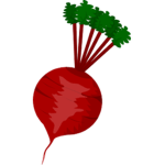 Beetroot