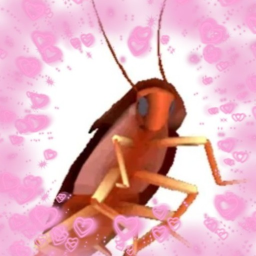 .♡︎。