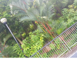 My Hangout :3