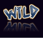 Wild-Nugget-Gang