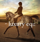 - luxury equine::