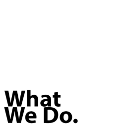 What We Do.