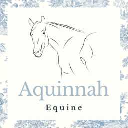 Aquinnah Equine Main Game