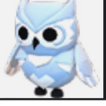 XCloudyxrainyxbills