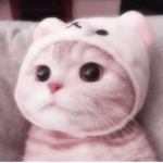 *kitty paws!*