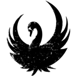 The black swan collective