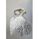 Only for helpmeplesseinsad99 and Eagles2Angles