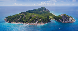 Survive The Island