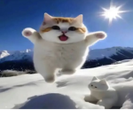 rwifle'